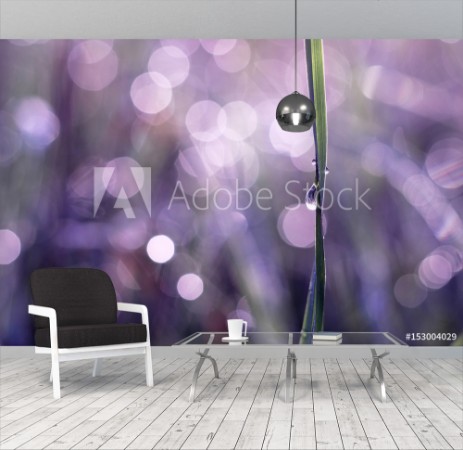 Picture of Tautropfen und Grashalm im Sonnenlicht